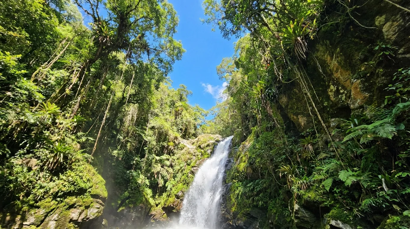 Cachoeira das Borboletas — cachoeira em Rio de Jeneiro, Brasil
