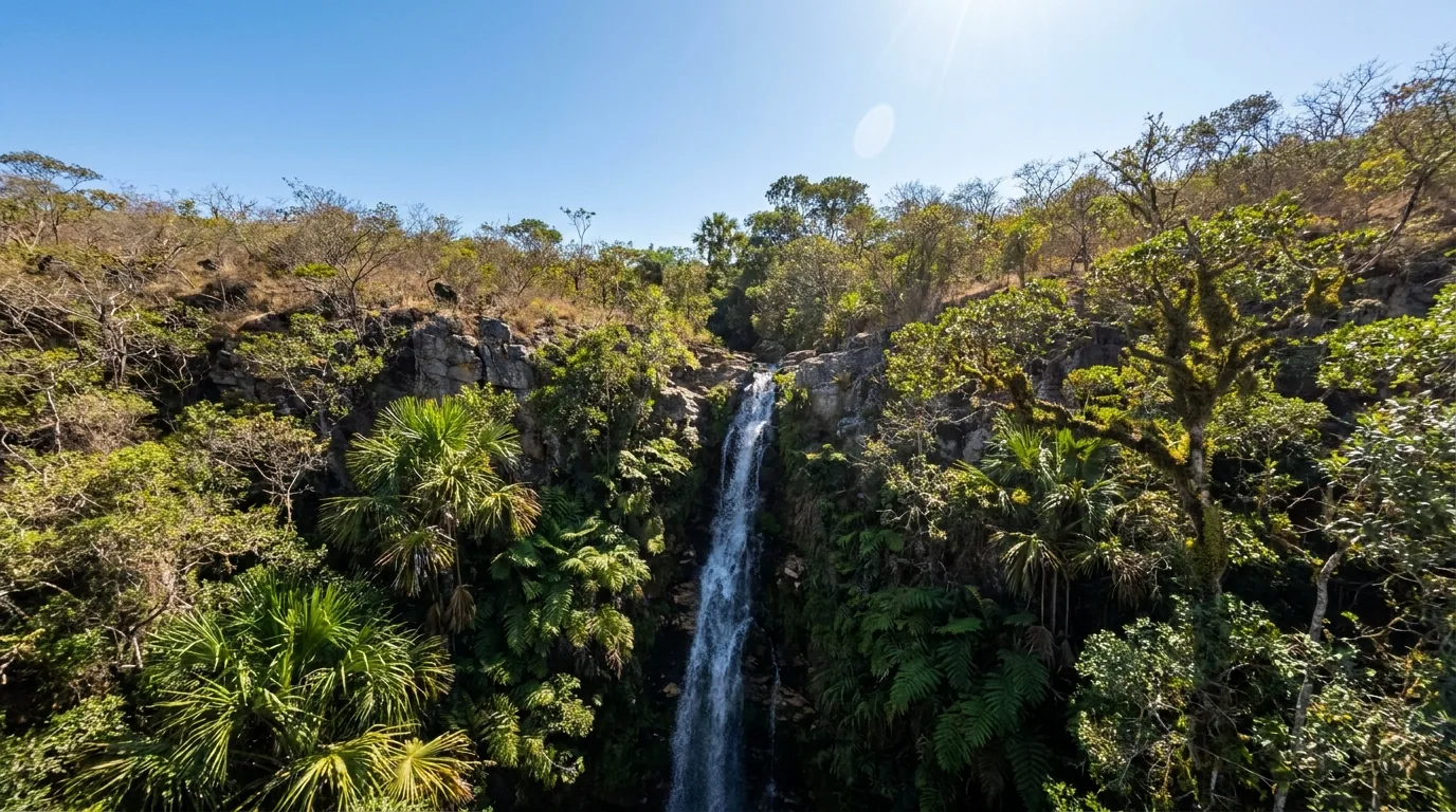 Cachoeira do Cardoso — cachoeira em Bahia, Brasil