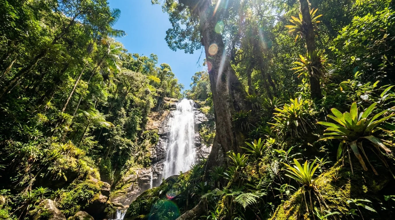 Cachoeira do Jequitibá — cachoeira em Rio de Jeneiro, Brasil